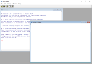 RGUI with console and editor