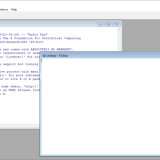RGUI with console and editor