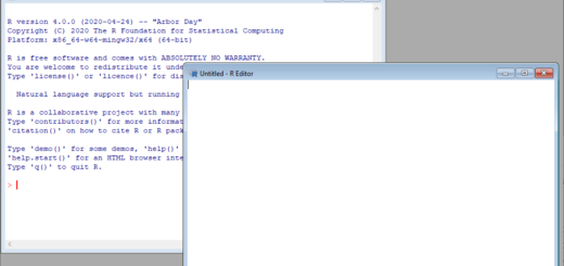 RGUI with console and editor