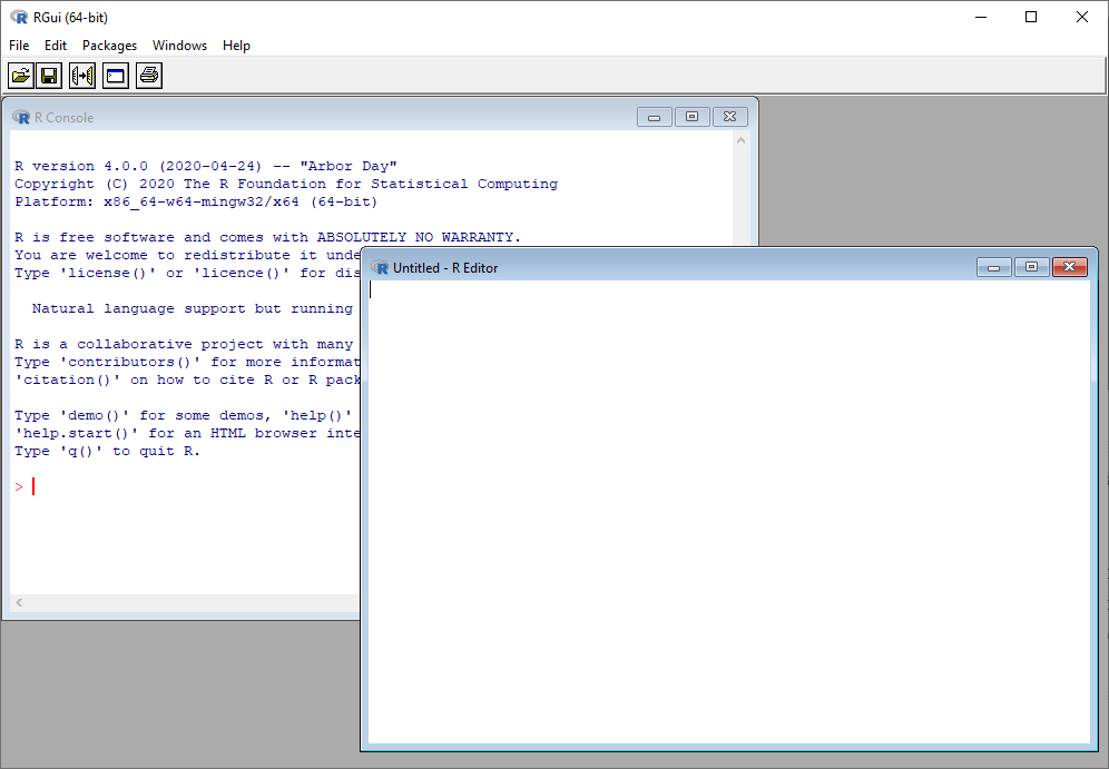 RGUI with console and editor