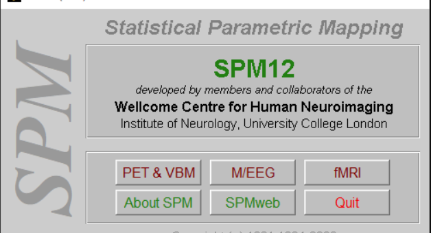 SPM12
